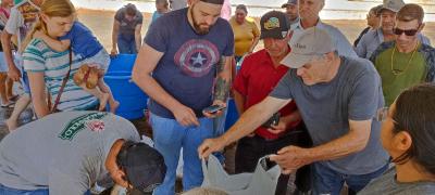2Âª EdiÃ§Ã£o da Feira do Peixe Vivo de Virmond comercializou quase meia tonelada 